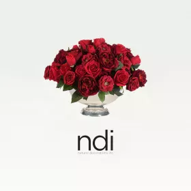 NDI