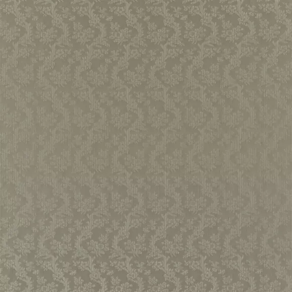Climbing Rose Damask Dusk