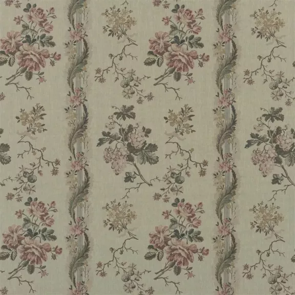 Espalier Vintage Rose 01