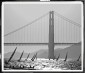 Постер GOLDEN GATE SAILING