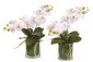 Цветы ORCHID PHALAENOPSIS, SET OF 2, PINK, GLASS