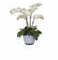 Цветы ORCHID PHALAENOPSIS, CREAM WHITE, IN CERAMIC VASE