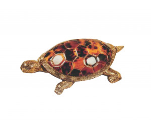 Статуэтка Young Turtle Accessory