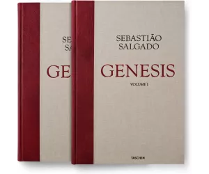 Книга «Сальгадо. Генезис» (Salgado, Genesis) III