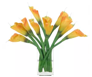 Цветы Lily Calla, Orange, In Glass Rectangle