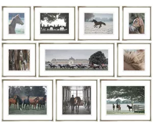 Сет Постеров (10 Штук) Templeton Stud Collection Bwhc-Sa/424