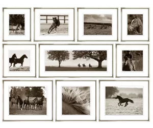 Сет постеров из 10 штук Темплтон Стад Коллекшн (Templeton Stud Collection), рама 424