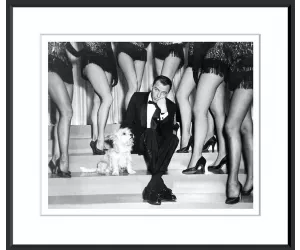 Постер Frank'S Charming