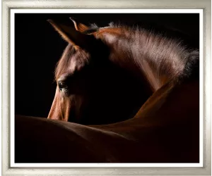 Постер Chestnut Stallion