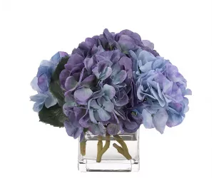 Цветы Hydrangea, Blue, Glass Cube