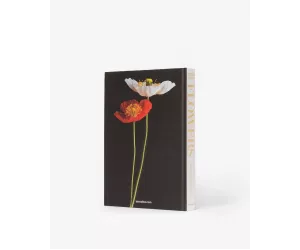Книга Цветы: Искусство и букеты (Flowers: Art & Bouquets)