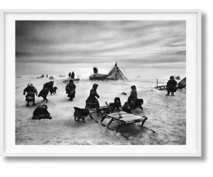 Книга «Сальгадо. Генезис» (Salgado, Genesis) II