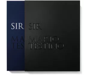 Книга «Тестино. СИР» (Testino, SIR)