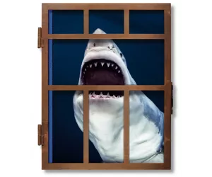 Книга «Акулы» (Sharks)