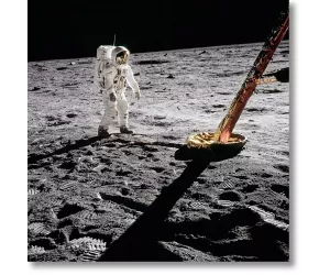 Постер Олдрин. Аполлон 11, Осмотр «Игла» (Inspecting the Eagle)