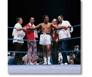 Постер Лайфер. Али против Лайла, зе Чемпс Корнер, 1975 (Leifer, Ali vs. Lyle, The Champ's Corner, 1975)