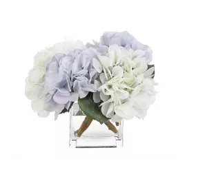 Цветы Гортензия, бело-голубые (Hydrangea), в стеклянном кубе