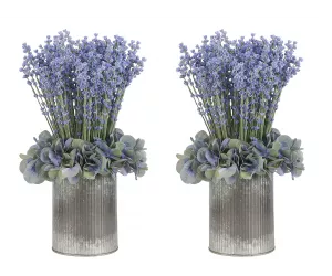 Цветы Гортензия лавандовая (Hydrangea Lavender, Lavender Blue), в кашпо, сет из 2