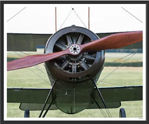 Постер Пропеллерс 2, рама 421 (Propellers 2, frame 421)