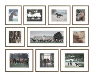 Сет постеров Хорс Коллекшн ин Колор (Horse Collection in Colour)