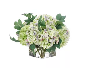 Цветы Гортензия, зелёная лаванда (Hydrangea), в стеклянном кубе