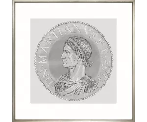 Постер Голтциус Коинс Грей 7, рама 424 (Goltzius Coins Grey 7, frame 424)