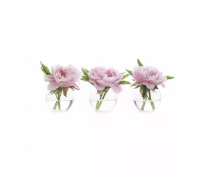 Цветы Пионы II (Peony)