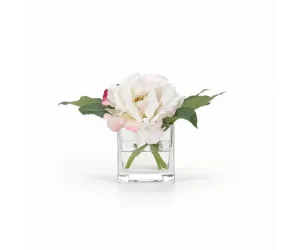 Цветы Пионы I (Peony)