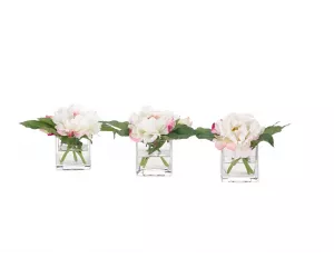 Цветы Пионы I (Peony), сет из 3