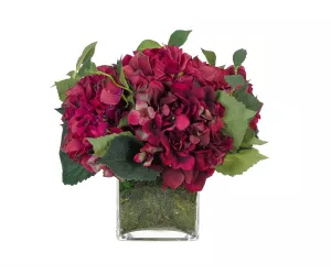 Цветы Гортензия (Hydrangea, фуксия), с садовым мхом в стеклянном кубе