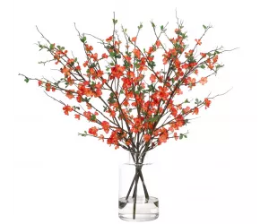 Цветы Цветение айвы оранжевое (Quince Blossom, Orange), в стеклянной вазе