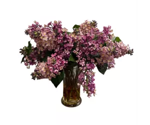 Цветы Сирень (Lilac, фиолетовая), в стеклянной вазе