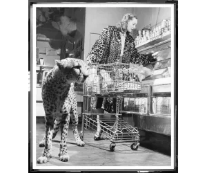 Постер Зе Шоппинг Чита (The Shopping Cheetah), 66×76 см