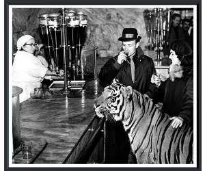 Постер Эна Обидиент Тайгер (An Obedient Tiger)