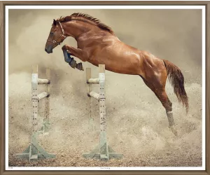 Постер Шоу Джампинг (Show Jumping), ореховая рама 438