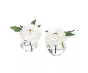 Цветы Пиони (Peony), белые, в стеклянной вазе