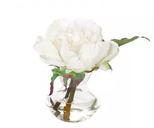 Цветы Пиони (Peony), в стеклянной вазе III
