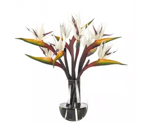 Цветы Берд oф Парадиз (Bird of Paradise), белые, в стеклянной вазе