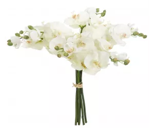 Цветы Фаленопсис Орхид (Phalaenopsis Orchid), белые, в стеклянной вазе