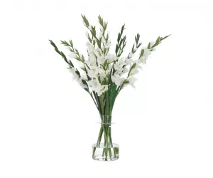 Цветы Гладиолусы (Gladiola, белые), в стеклянной вазе