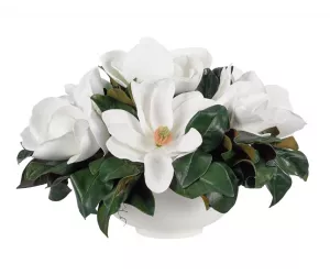 Цветы Магнолия, белые (Magnolia), в керамической чаше