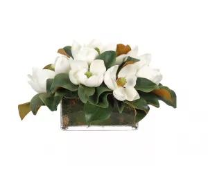 Цветы Магнолия (Magnolia, белые), в стеклянном кубе с мхом
