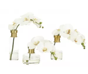 Цветы Орхид Фаленопсис (Orchid Phalaenopsis, кремово-белые), сет из 3