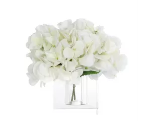 Цветы Гортензия (Hydrangeas), белые, в хрустальной вазе