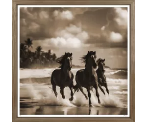 Постер Пляжные Жеребцы (Beach Stallions), 1