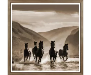 Постер Пляжные Жеребцы (Beach Stallion), 3