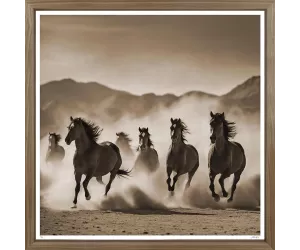 Постер Пляжные Жеребцы (Beach Stallions)