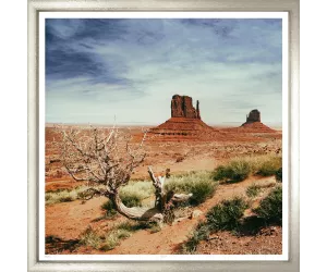 Постер Национальные парки II (National Parks II), 2528
