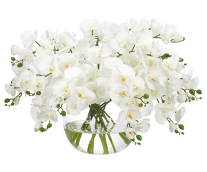 Цветочная композиция ORCHID PHALAENOPSIS, WHITE