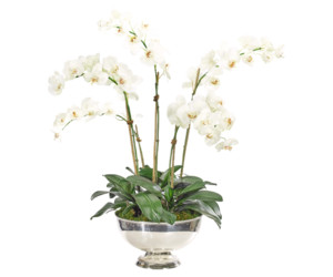 Цветочная композиция ORCHID PHALAENOPSIS, белая